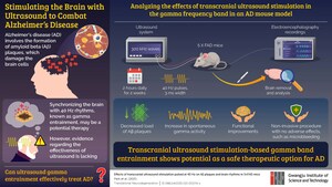 Researchers from the Gwangju Institute of Science and Technology Propose Ultrasound Stimulation as an Effective Therapy for Alzheimer's Disease in New Study