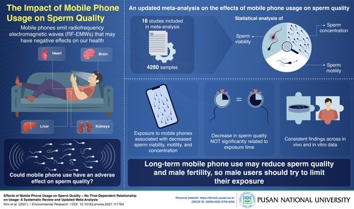 An infographic depicting the key findings of the new meta-analysis After examining a series of studies from 2012 to 2021, researchers have performed an updated meta-analysis that clearly indicates the connection between cell phone and decreased sperm quality.