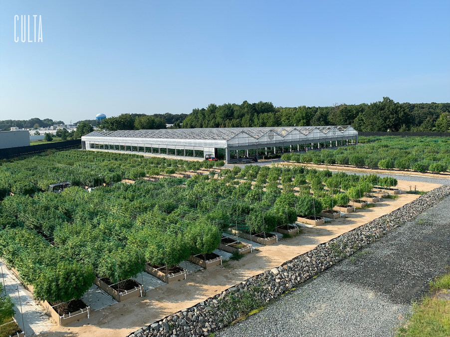 CULTA Announces Membership in the Sustainable Cannabis Coalition - Vimarsana News