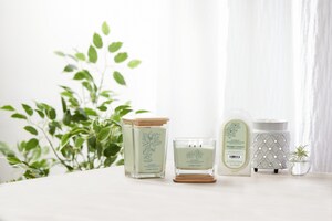 Yankee Candle Introduces New Wellness-Inspired Fragrances with Launch of the Well Living Collection