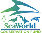 SeaWorld Conservation Fund Surpasses $19 Million in Grants; Ten New Grants Made to Marine-Specific Programs in 2021