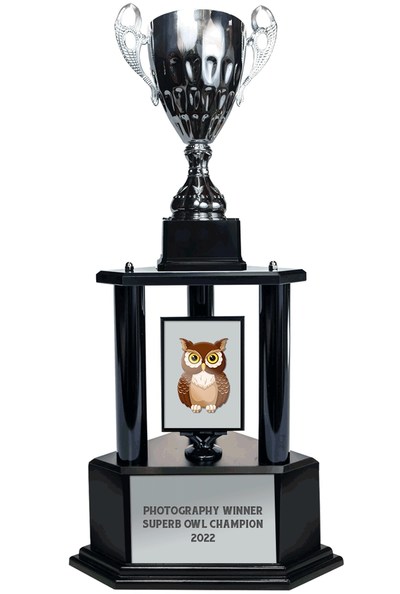 Superb Owl Awards 2022 winners trophy