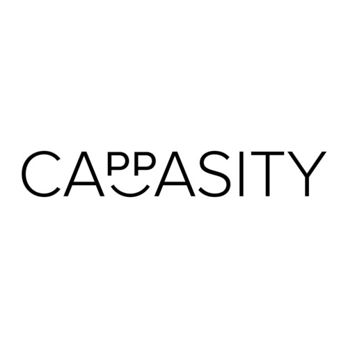 willhaben integrates Cappasity 3DShot for the remote demonstration of cars