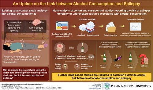 Scientists conduct an updated analysis to clarify if alcohol drinkers may be at higher risk of developing epilepsy and unprovoked seizures