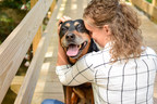 Embrace Pet Insurance Reveals How Your Pet Might Be Saying "I Love You" This Valentine's Day