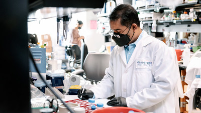 Swetansu Hota and his colleagues in the Bruneau Lab at Gladstone Institutes discovered, to their surprise, that removing one gene from developing heart cells suddenly makes them turn into brain cell precursors. Photo: Michael Short/Gladstone Institutes