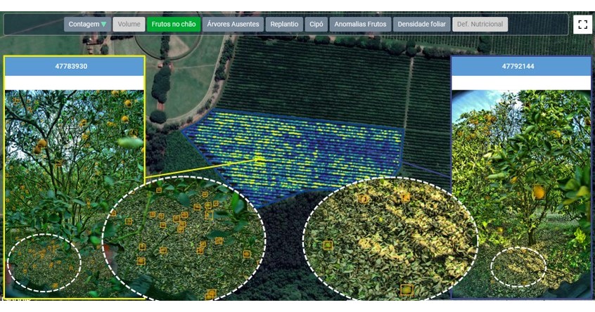 Bayer firma parceria com Adroit Robotics para monitoramento digital de citrus