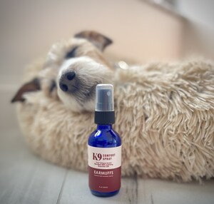 Got Sweat? Newest Pet Products Found the Key to a Dog's Happiness: Their Owner's Body Odor