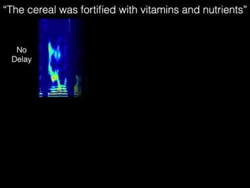 Researcher demonstrates speech feedback, both normally and then delayed by 200 milliseconds, while reading aloud the study test sentence, “The cereal was fortified with vitamins and nutrients.” Credit: Courtesy of NYU Grossman School of Medicine