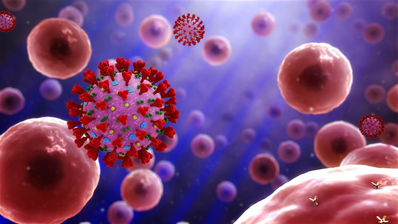 Unable to view the image, Please provide a valid URL.