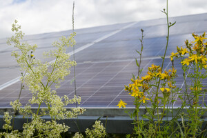 Quercus signs agreement with BayWa r.e. for acquisition of over 700 MW of Spanish PV development assets
