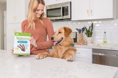 A Healthy Dog Starts with Healthy Teeth: Veterinarian with WHIMZEES® by Wellness® Shares Tips for Pet Dental Health Month