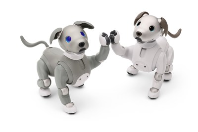 Sony Electronics Launches Limited aibo Black Sesame Edition Litter 