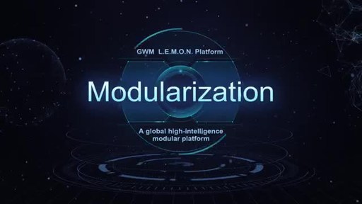 L.E.M.O.N. Platform, an Accelerator for the Development of GWM