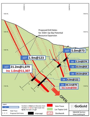 Figure 1: El Favor East Hole LRFG-21-107 Cross Section (CNW Group/GoGold Resources Inc.)