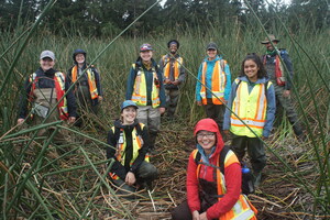 World Wetlands Day: How Are We Looking After B.C. Watersheds?