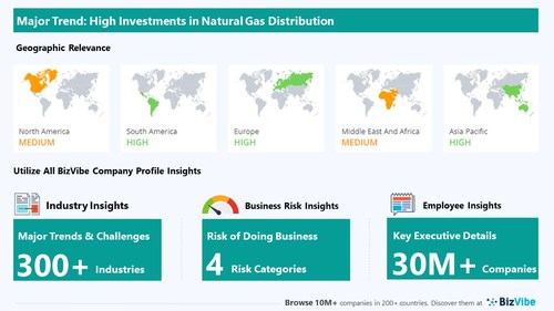 Snapshot of key trend impacting BizVibe's natural gas marketing industry group.