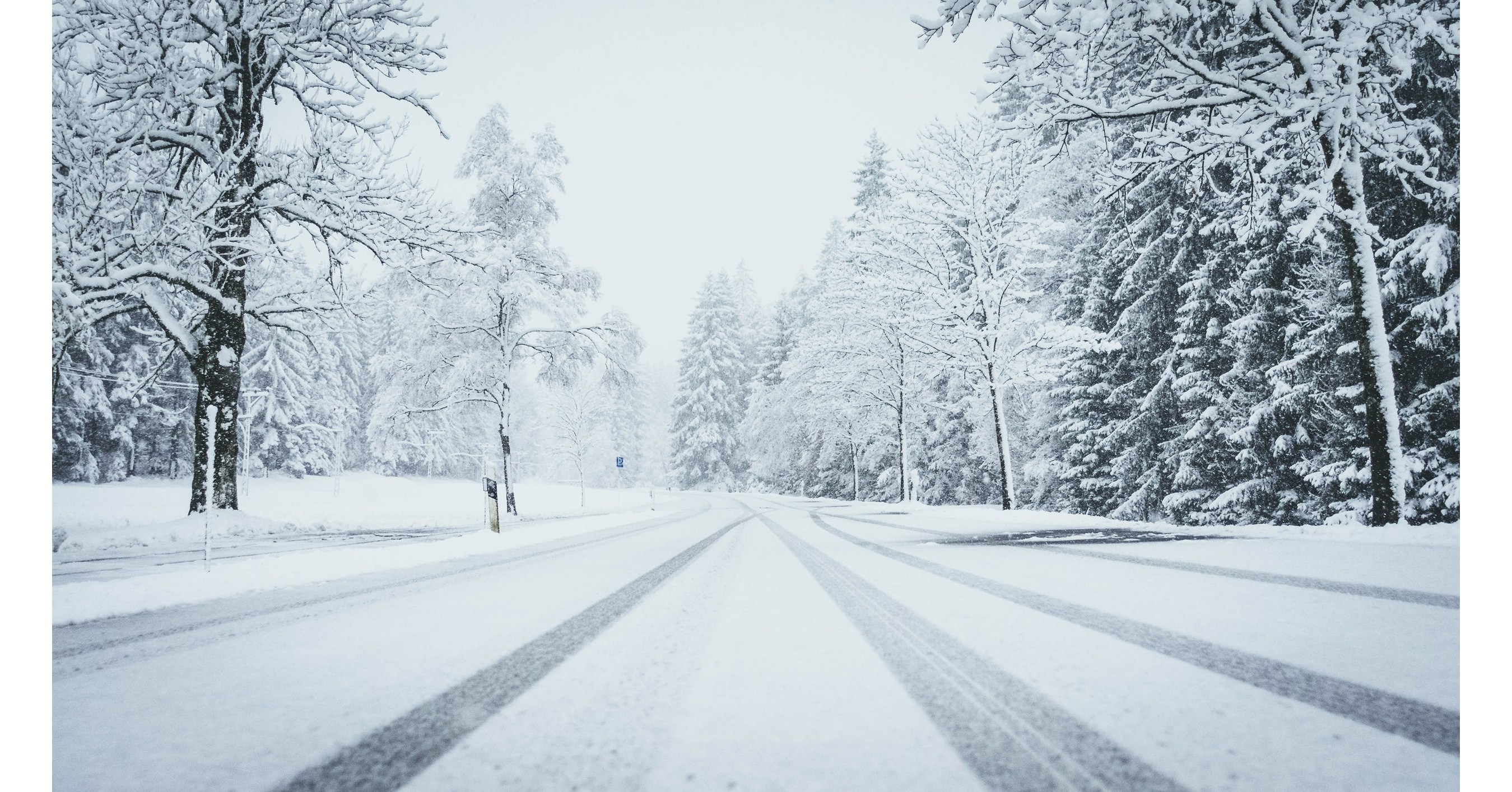 eCash & Other Crypto Upstarts Shrug Bear Threat