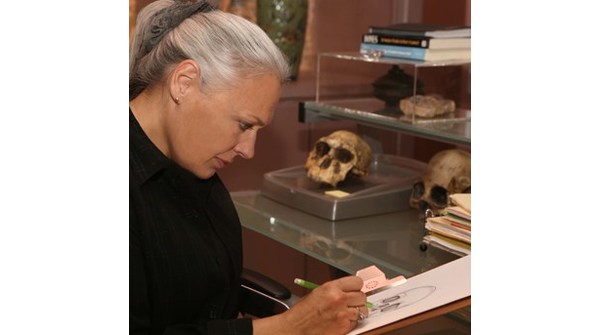 Production Illustrator Donna Cline to Receive a Lifetime Achievement Award at the 26th Annual Art Directors Guild Awards - Vimarsana News