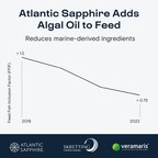 Atlantic Sapphire baner vei innen akvakultur og lanserer fôr med algebasert omega-3