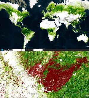 TerraPulse Launches World's First 10-Meter Resolution Global Forest Monitoring Platform