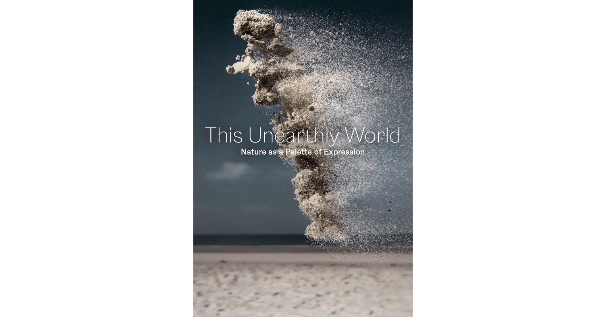 HIGHLY-DECORATED, FORMER REPUBLIC SERVICES OPERATIONS MANAGER ALLEGES TOXIC CORPORATE CULTURE, FIRED AFTER COMPLAINTS OF FREQUENT RACIAL SLURS BY WHITE SUPERVISOR