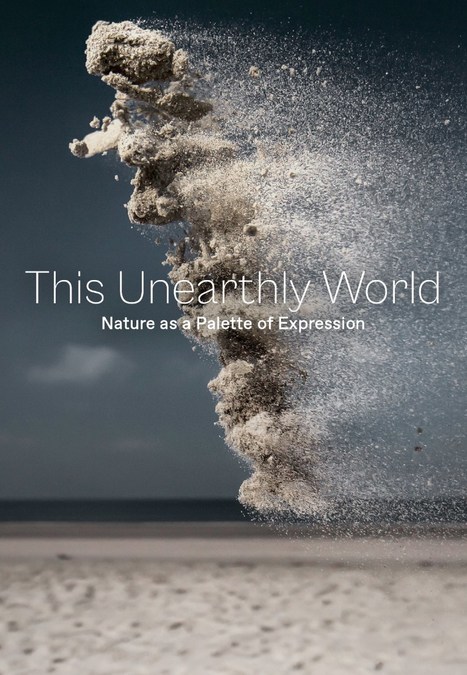 "NFTS: THE 10,450 FT VIEW" IN JACKSON HOLE COLLABORATE WITH PREMIUM DIGITAL ART STREAMING PLATFORM, NIIO ART, AS A DISPLAY AND CURATED ART PARTNER - Vimarsana News