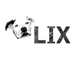 LIX Announces Expansion of Product Line into Southwest Region