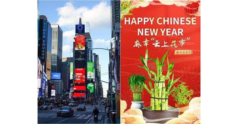 During Chinese New Year, Mazhang Lucky Bamboo Shown Overseas