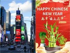 During Chinese New Year, Mazhang Lucky Bamboo Shown Overseas