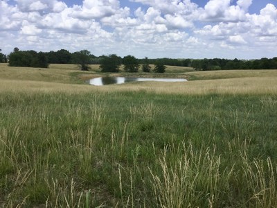 Images from Thompson Ranch