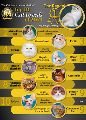 Best cats to breed best sale for profit