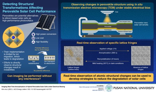 Pusan National University and University of California, San Diego Researchers Image Real-Time Structural Changes in Perovskite Cells