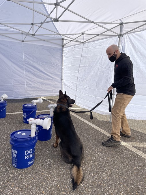 MozaicID Partners with AK9I™ to Deploy K9 Covid Testing Solution - Vimarsana News