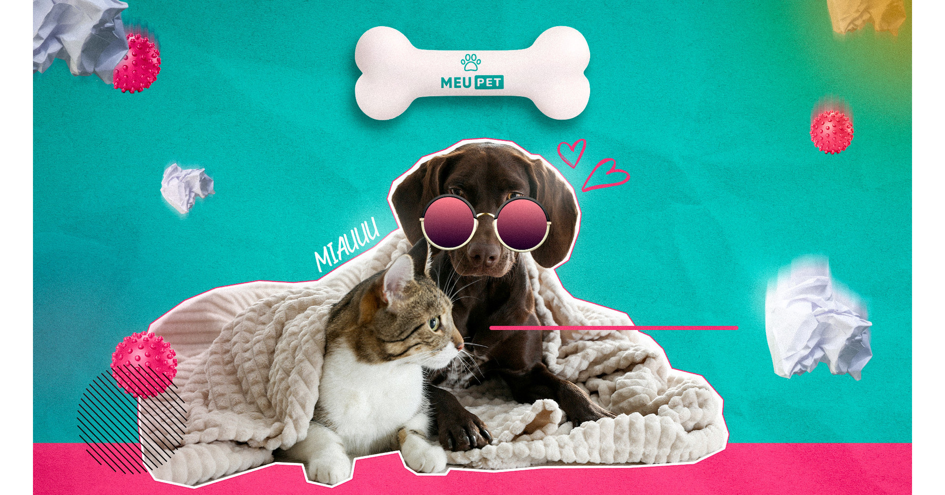 Crescimento dos custos com os animais dom&eacute;sticos faz aumentar procura por assist&ecirc;ncia pet