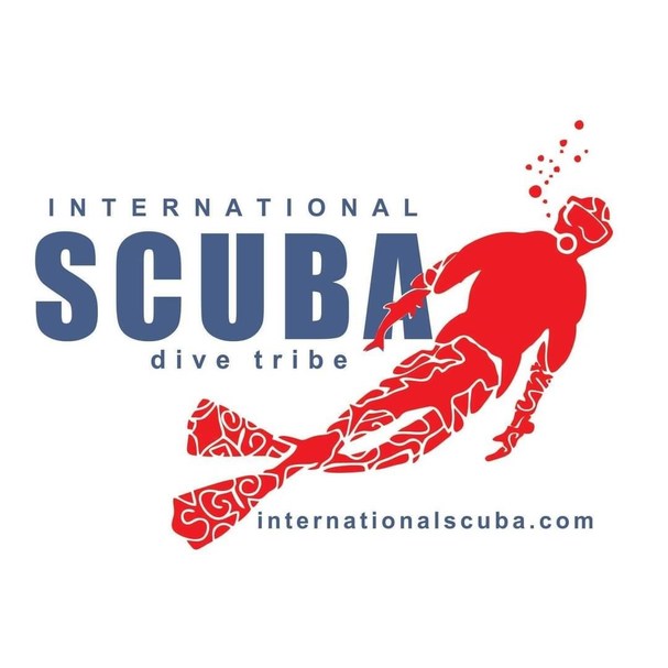 Ice Hole Festival in Sioux Falls, South Dakota creates excitement, draws flocks of Scuba Divers for the past 5 years! - Vimarsana News
