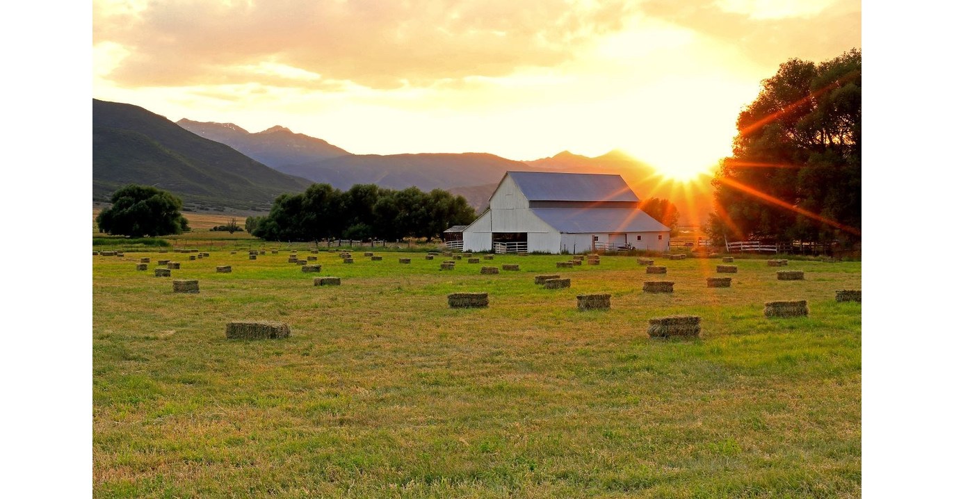 Six North Carolina Venues Selected to Host Smithsonian Traveling Exhibit Highlighting Rural America