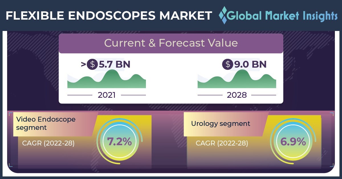 Flexible Endoscopes Market value to cross $9 Billion by 2028, Says Global Market Insights Inc. - Vimarsana News