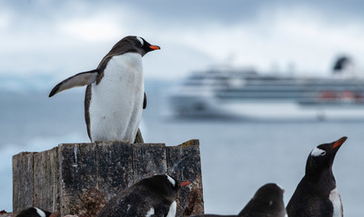 Guests looking to explore Antarctica with Viking can choose from one of seven available expeditions, ranging from the 13-day Antarctic Explorer to the 44-day From the Arctic to Antarctica. For more information, visit www.viking.com.