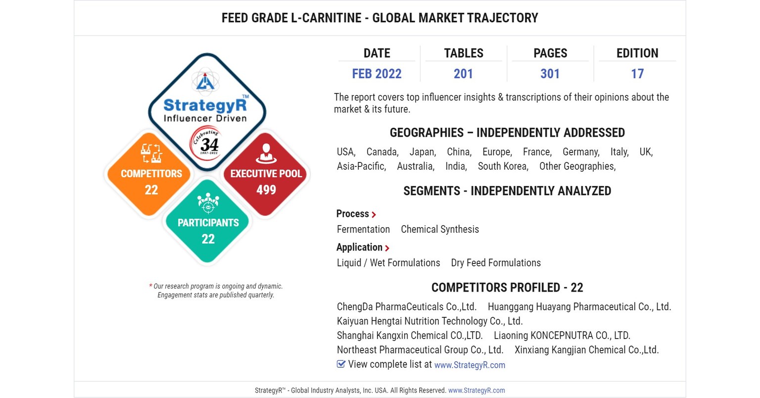 huayang huayang l-carnitine Global Industry Analysts Predicts The World Feed Grade Market To Reach $56.9 Million by 2026 primarily highlighting its effectiveness and unique berry flavor L-Carnitine Market Size, Share |