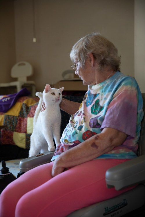Pets provide vital social connection for many older adults and can have a significant positive impact on their physical and mental health and well-being.