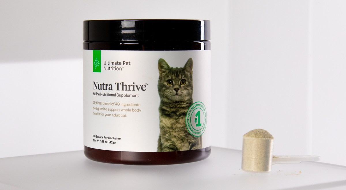 Celebrate National Love Your Pet Day with Dr. Gary Richter's Ultimate Pet Nutrition Nutra Thrive for Cats - Vimarsana News