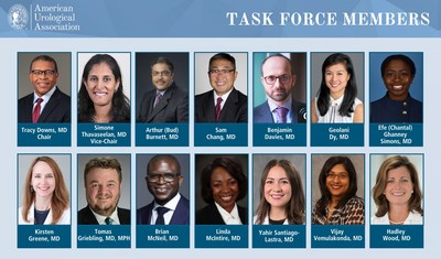 The AUA's Diversity & Inclusion Task Force.