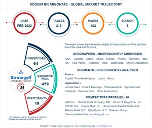 A $1.7 Billion Global Opportunity for Sodium Bicarbonate by 2026 - New Research from StrategyR