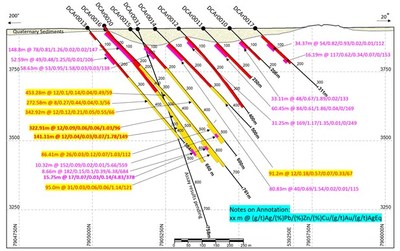 Figure 2. DCAr0020 was collared at Section 20, which is 200 m west of Drill Section 24, and ploted on to Section 24 for comparison with holes DCAr0016 and DCAr0015, both intercepted Gold at depth (CNW Group/New Pacific Metals Corp.)