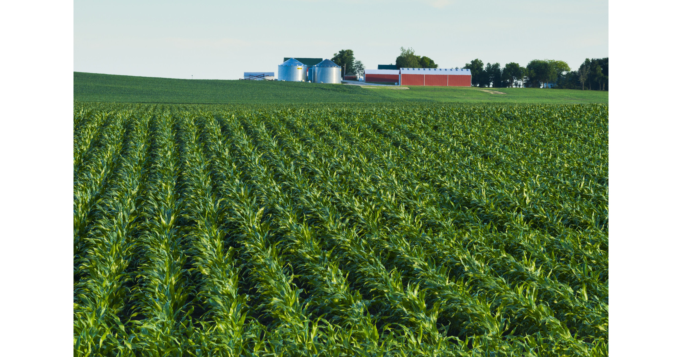 Sound Agriculture Launches Program to Remove the Risk Associated with  Fertilizer Reduction