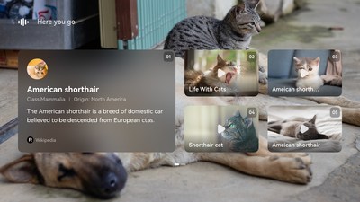 AR glasses identification experiences AR glasses identification experiences