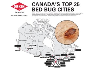 Busy bed bugs remain in business
