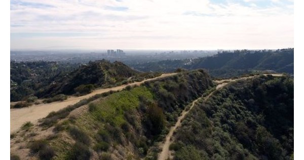 Mohamed Hadid's 65+ Acres in Beverly Hills set for Bankruptcy Auction