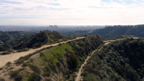 65+ Acres in Beverly Hills set for Bankruptcy Auction.